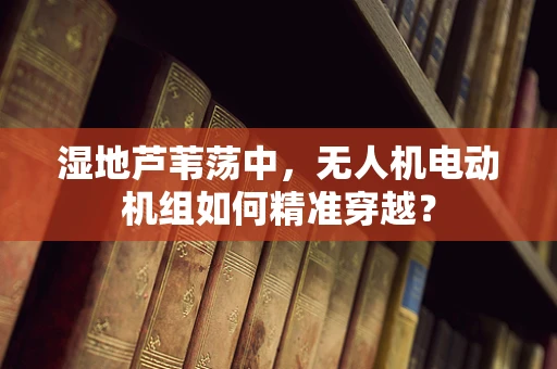 湿地芦苇荡中，无人机电动机组如何精准穿越？