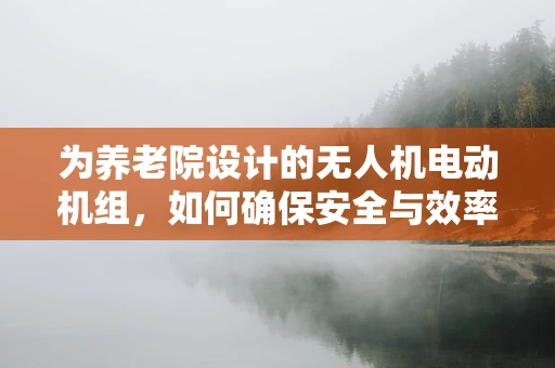 为养老院设计的无人机电动机组，如何确保安全与效率的平衡？