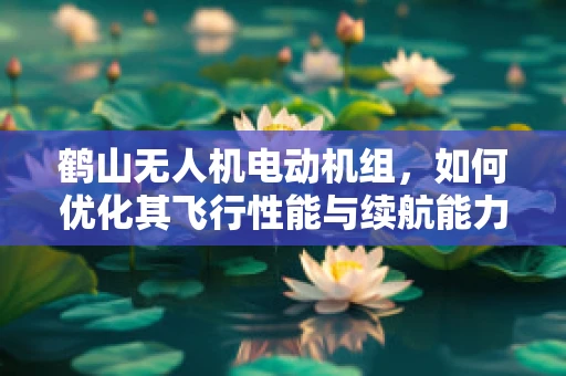 鹤山无人机电动机组，如何优化其飞行性能与续航能力？