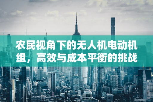农民视角下的无人机电动机组，高效与成本平衡的挑战