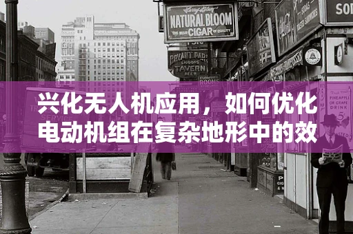 兴化无人机应用，如何优化电动机组在复杂地形中的效能？