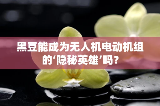 黑豆能成为无人机电动机组的‘隐秘英雄’吗？