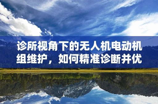 诊所视角下的无人机电动机组维护，如何精准诊断并优化性能？