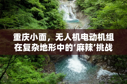 重庆小面，无人机电动机组在复杂地形中的‘麻辣’挑战