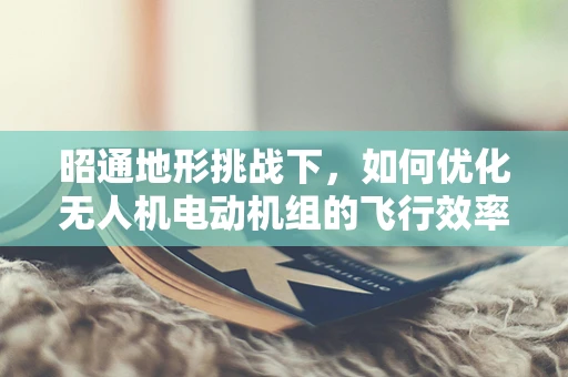 昭通地形挑战下，如何优化无人机电动机组的飞行效率？