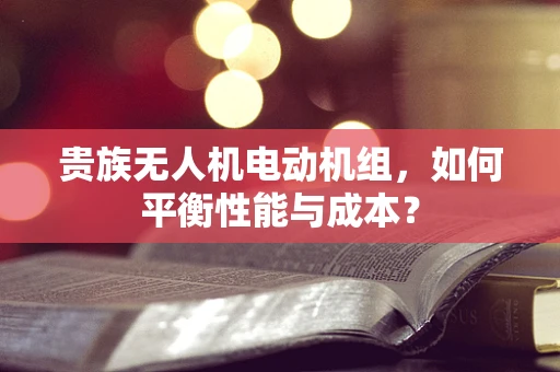 贵族无人机电动机组，如何平衡性能与成本？
