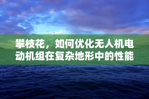 攀枝花，如何优化无人机电动机组在复杂地形中的性能？