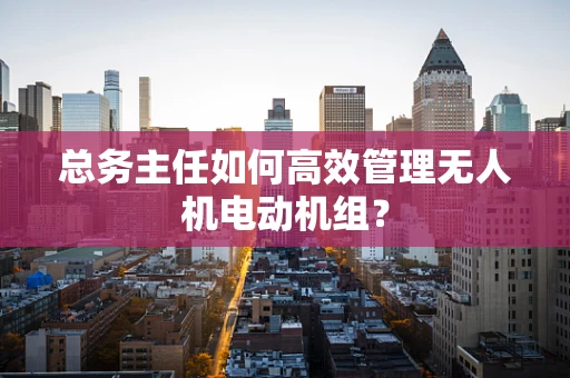 总务主任如何高效管理无人机电动机组？