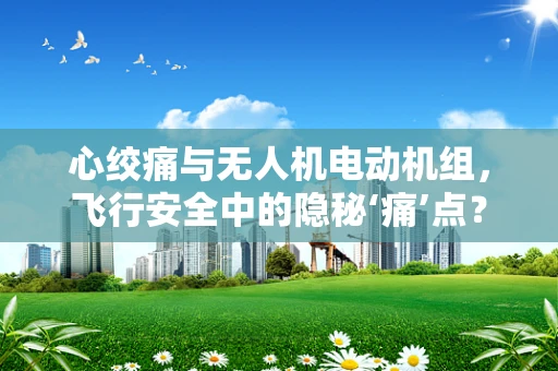 心绞痛与无人机电动机组，飞行安全中的隐秘‘痛’点？