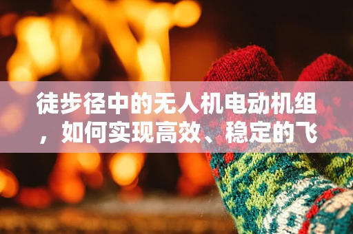 徒步径中的无人机电动机组，如何实现高效、稳定的飞行？