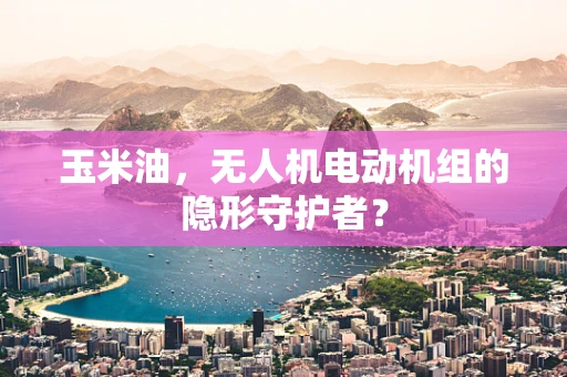 玉米油，无人机电动机组的隐形守护者？