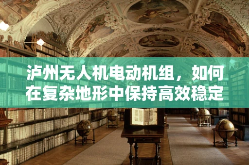 泸州无人机电动机组，如何在复杂地形中保持高效稳定？