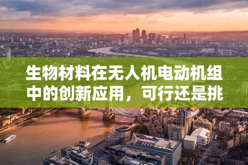 生物材料在无人机电动机组中的创新应用，可行还是挑战？