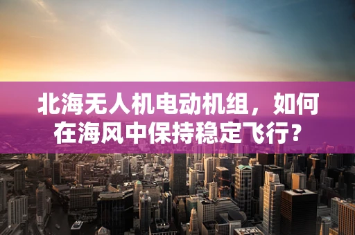 北海无人机电动机组，如何在海风中保持稳定飞行？