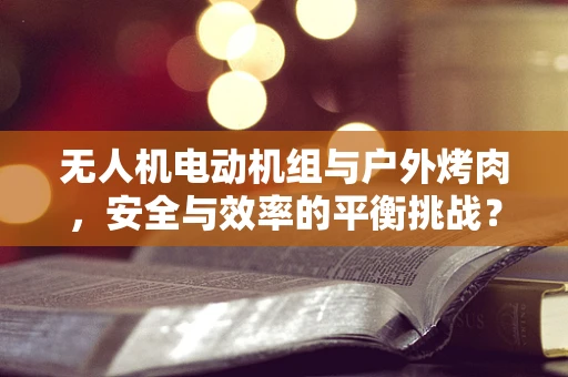 无人机电动机组与户外烤肉，安全与效率的平衡挑战？