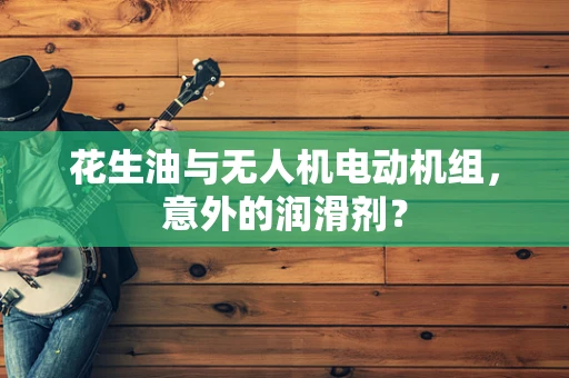 花生油与无人机电动机组，意外的润滑剂？