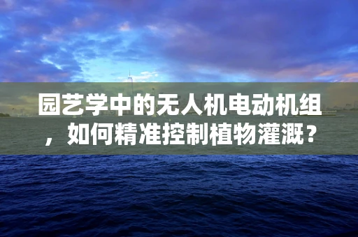 园艺学中的无人机电动机组，如何精准控制植物灌溉？