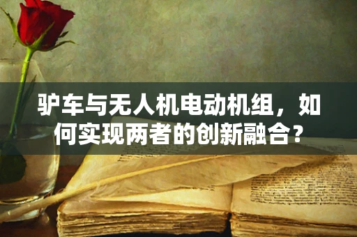 驴车与无人机电动机组，如何实现两者的创新融合？