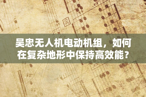 吴忠无人机电动机组，如何在复杂地形中保持高效能？