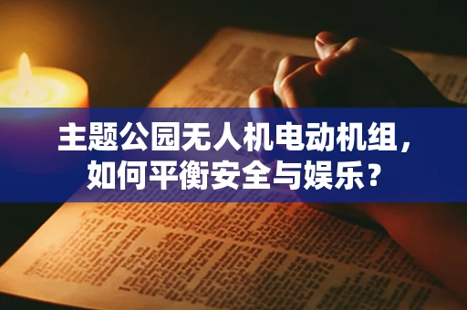 主题公园无人机电动机组，如何平衡安全与娱乐？