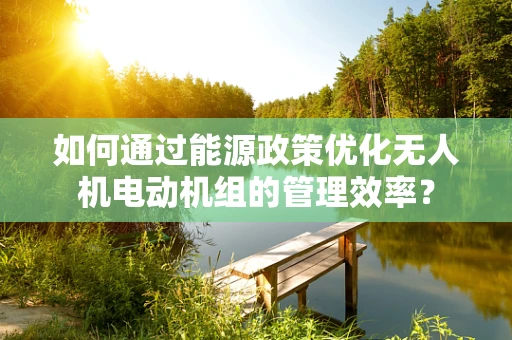 如何通过能源政策优化无人机电动机组的管理效率？