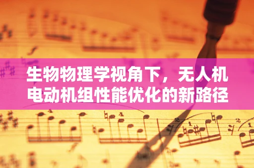 生物物理学视角下，无人机电动机组性能优化的新路径