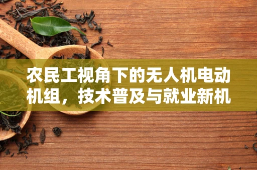 农民工视角下的无人机电动机组，技术普及与就业新机遇？