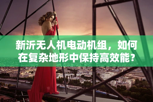 新沂无人机电动机组，如何在复杂地形中保持高效能？