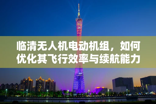 临清无人机电动机组，如何优化其飞行效率与续航能力？