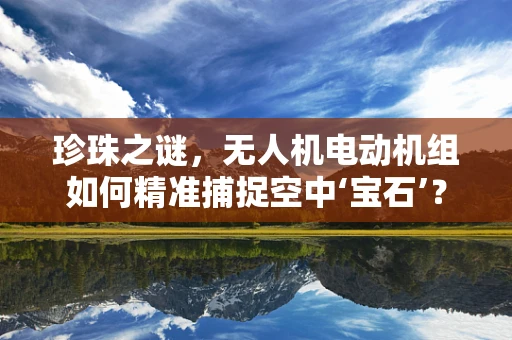 珍珠之谜，无人机电动机组如何精准捕捉空中‘宝石’？