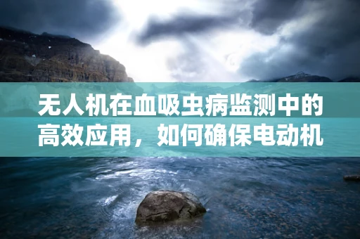 无人机在血吸虫病监测中的高效应用，如何确保电动机组不受环境影响？