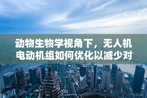 动物生物学视角下，无人机电动机组如何优化以减少对野生动物的干扰？