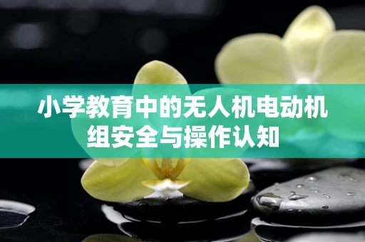 小学教育中的无人机电动机组安全与操作认知