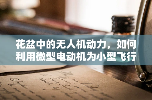 花盆中的无人机动力，如何利用微型电动机为小型飞行器提供持久动力？