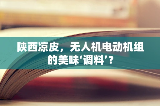 陕西凉皮，无人机电动机组的美味‘调料’？
