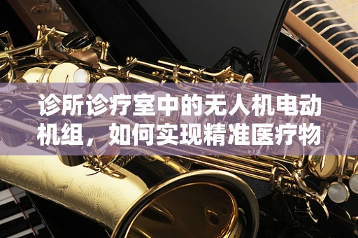 诊所诊疗室中的无人机电动机组，如何实现精准医疗物资的空中配送？