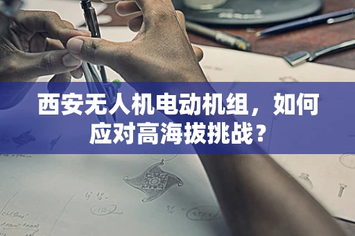 西安无人机电动机组，如何应对高海拔挑战？
