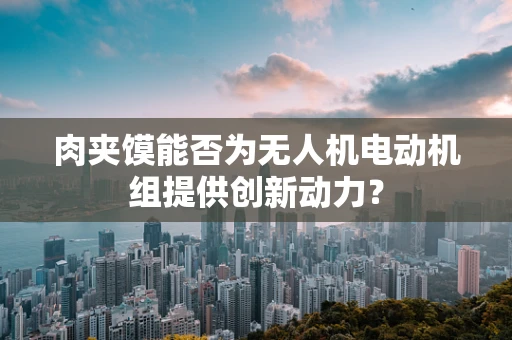 肉夹馍能否为无人机电动机组提供创新动力？