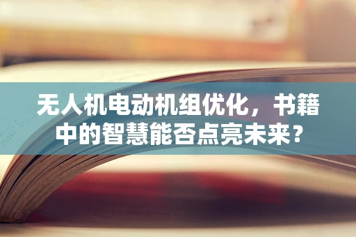 无人机电动机组优化，书籍中的智慧能否点亮未来？