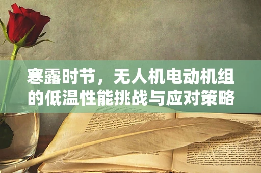 寒露时节，无人机电动机组的低温性能挑战与应对策略