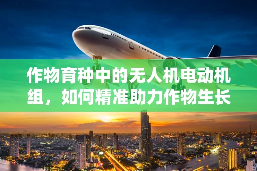 作物育种中的无人机电动机组，如何精准助力作物生长？