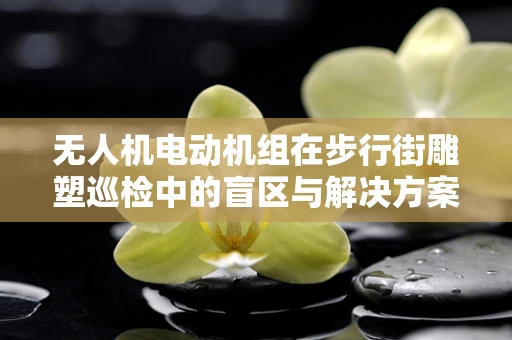 无人机电动机组在步行街雕塑巡检中的盲区与解决方案