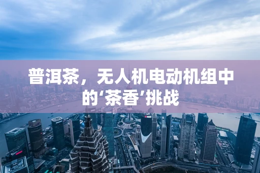 普洱茶，无人机电动机组中的‘茶香’挑战