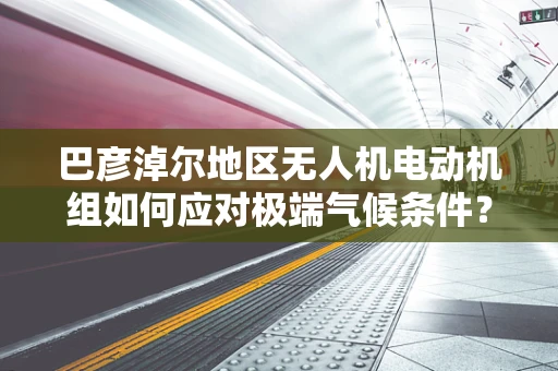 巴彦淖尔地区无人机电动机组如何应对极端气候条件？