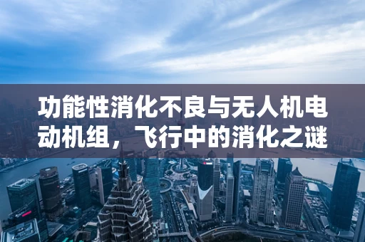 功能性消化不良与无人机电动机组，飞行中的消化之谜