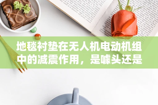 地毯衬垫在无人机电动机组中的减震作用，是噱头还是实效？