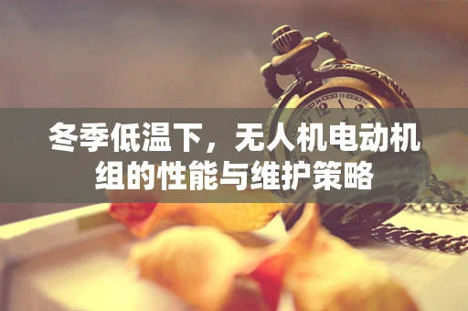 冬季低温下，无人机电动机组的性能与维护策略