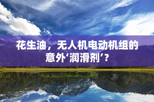花生油，无人机电动机组的意外‘润滑剂’？