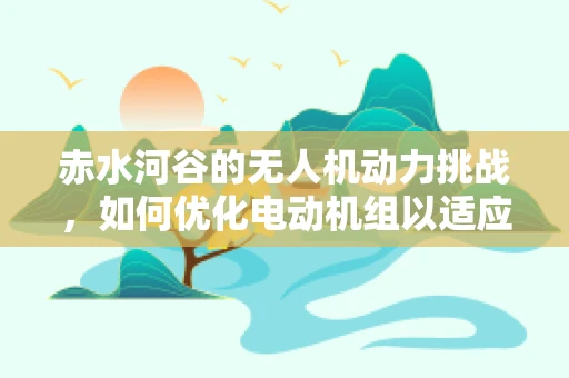 赤水河谷的无人机动力挑战，如何优化电动机组以适应复杂地形？