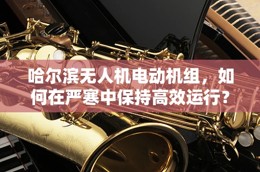 哈尔滨无人机电动机组，如何在严寒中保持高效运行？